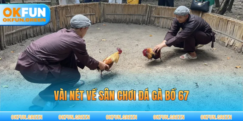 Vài nét về sân chơi đá gà bồ 67